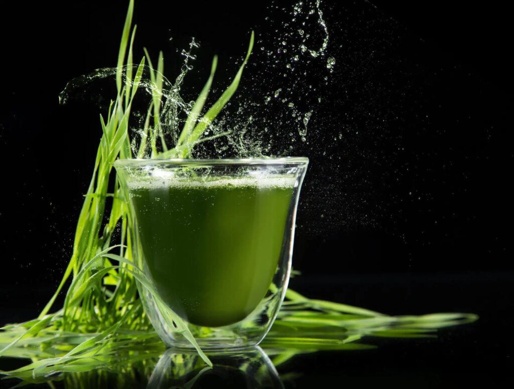 La spiruline, nutriment complet et naturel