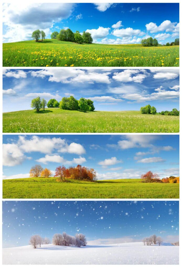 Comprendre le rôle des saisons dans les soins naturels