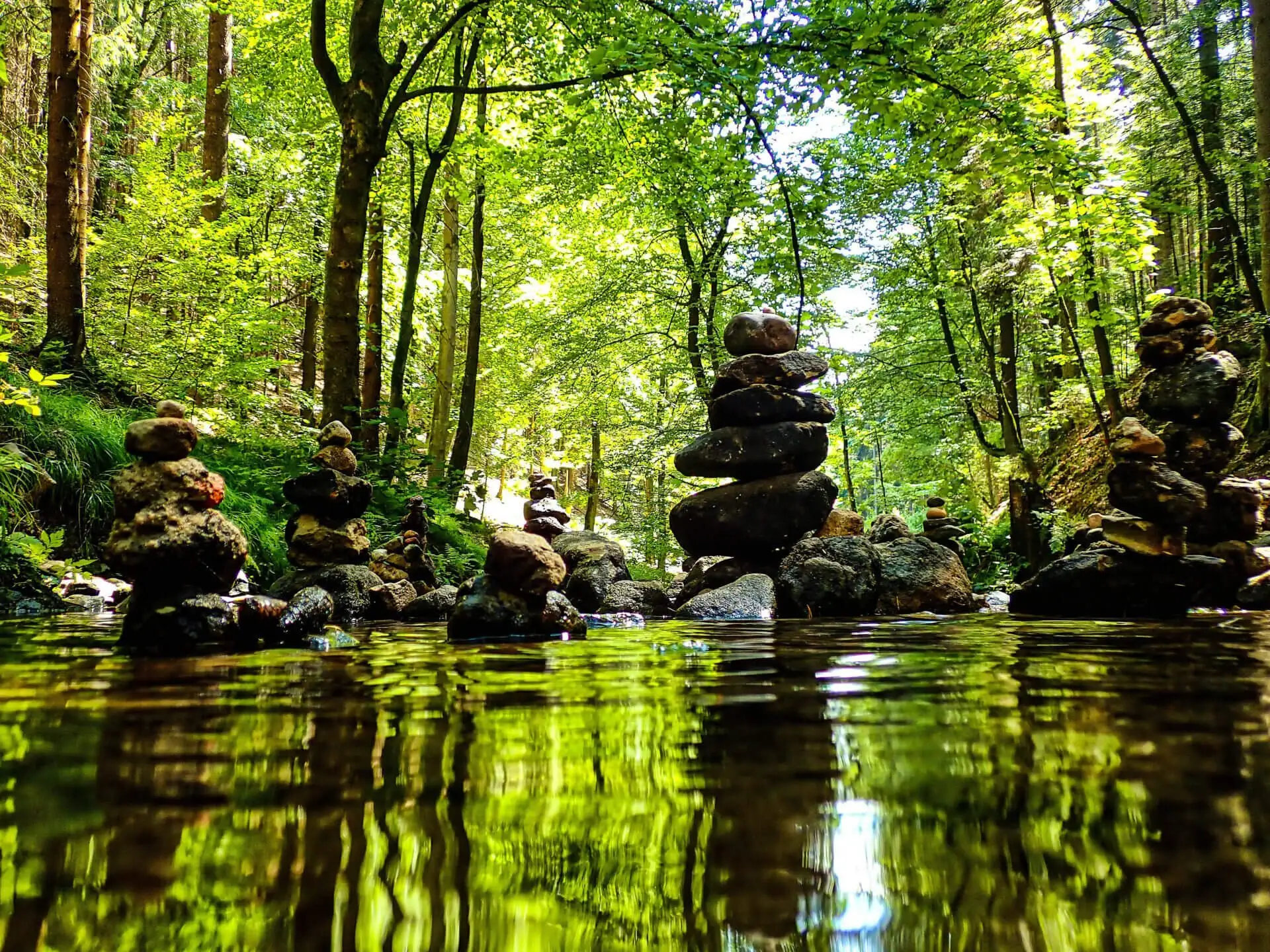 Les sons de la nature : un remède anti-stress naturel