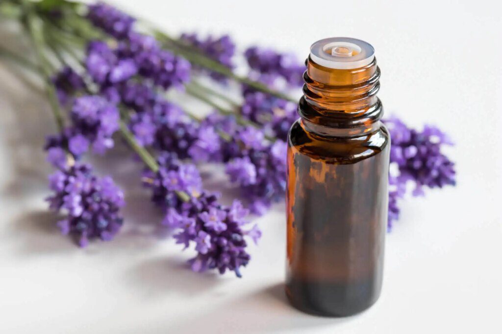 Les propriétés et bienfaits des fleurs de lavande : un trésor pour la santé et la beauté