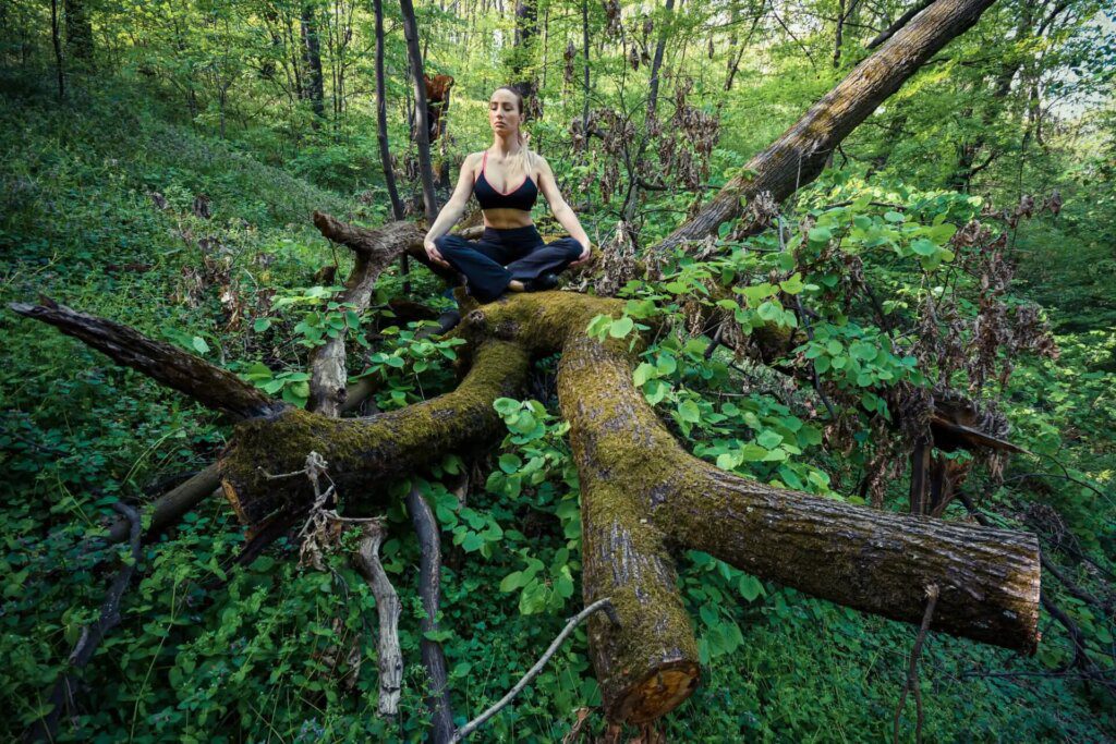 Méditation et Access Consciousness : une synergie puissante