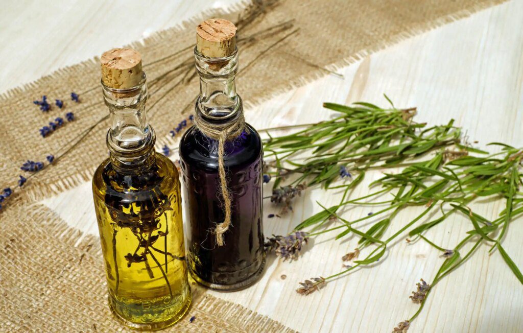 Guide complet sur la naturopathie : découvrez les secrets d'une santé naturelle et équilibrée