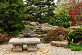 Concevoir un jardin zen pour la relaxation ultime