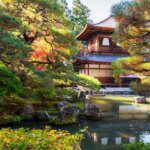 Concevoir un jardin zen apaisant pour votre bien-être mental