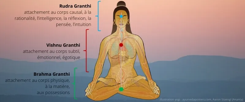 Comment la méditation purifie et équilibre vos corps énergétiques