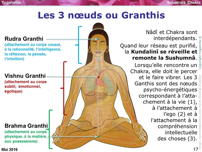 Comment la méditation purifie et équilibre vos corps énergétiques