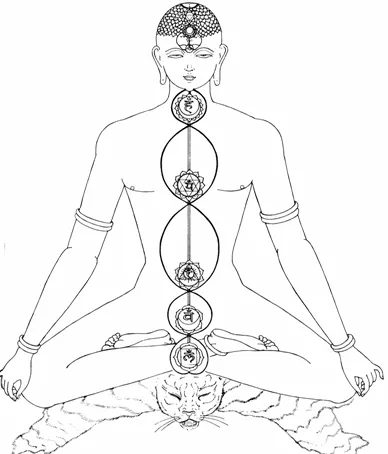 Comment la méditation purifie et équilibre vos corps énergétiques