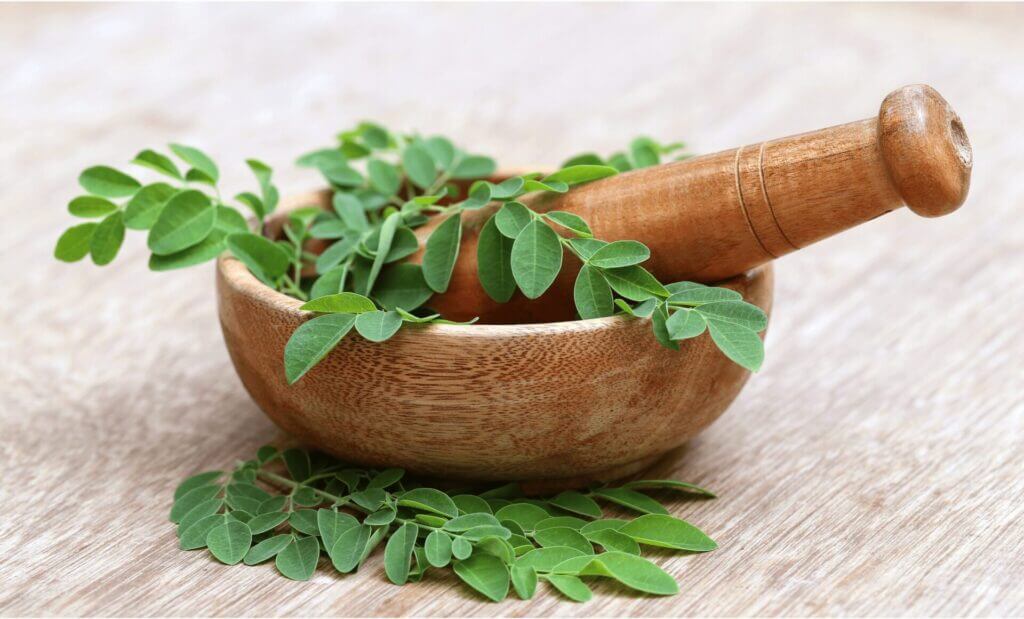 Les bienfaits du moringa sur la santé : le super aliment qui change tout