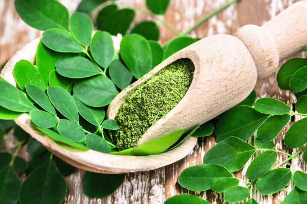 Les bienfaits du moringa sur la santé : le super aliment qui change tout
