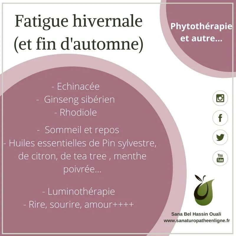 Naturopathie : comment booster votre énergie naturellement ?